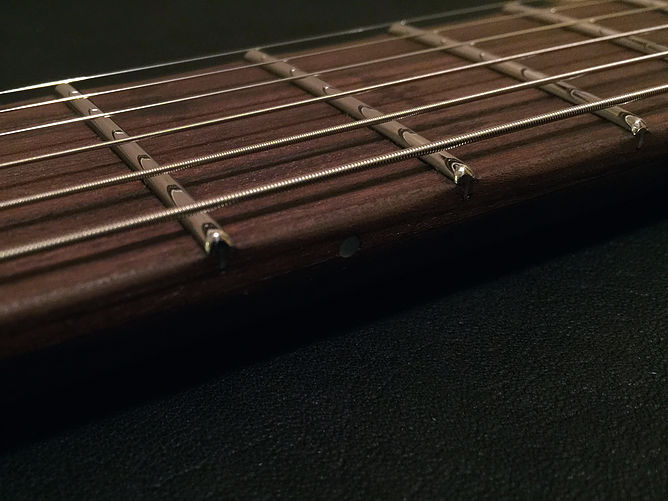 Close-up of stainless steel guitar frets and strings