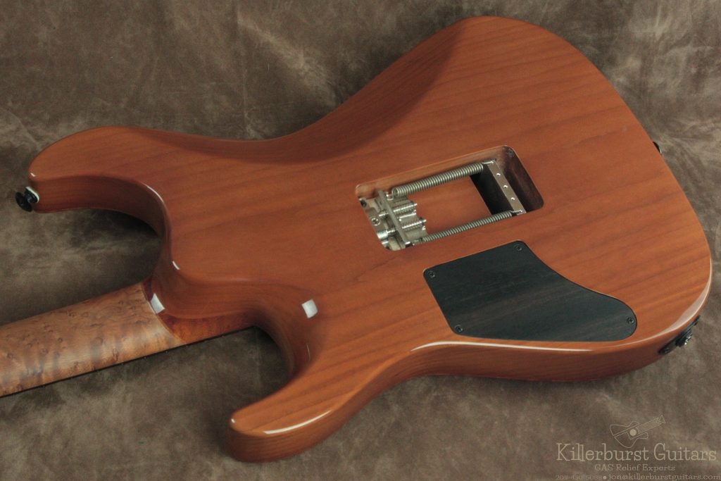 Electric guitar detail illustrating tonewood and construction